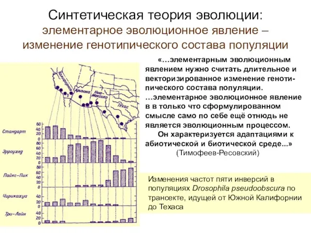 Синтетическая теория эволюции: элементарное эволюционное явление – изменение генотипического состава популяции