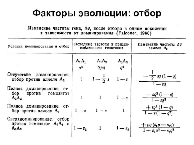 Факторы эволюции: отбор