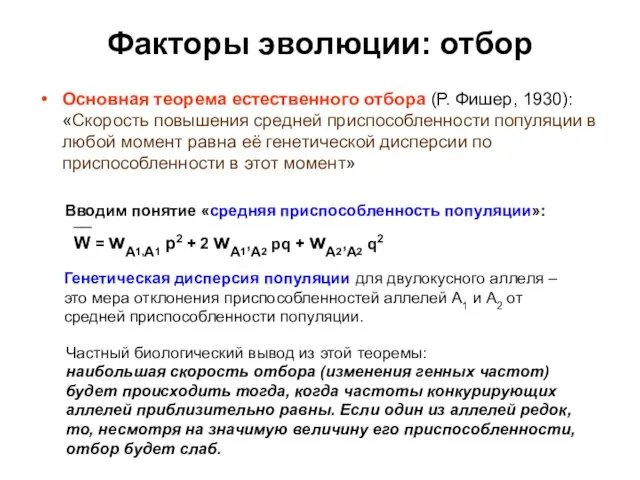 Факторы эволюции: отбор Основная теорема естественного отбора (Р. Фишер, 1930): «Скорость