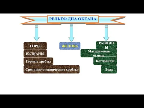 РЕЛЬЕФ ДНА ОКЕАНА ГОРЫ РАВНИНЫ ЖЕЛОБА ВУЛКАНЫ Горные хребты Срединно-океанические хребты Материковая отмель Котловины Ложе