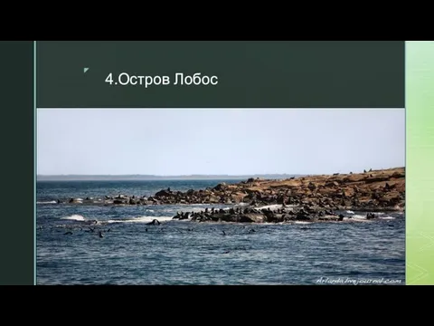 4.Остров Лобос