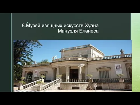 8.Музей изящных искусств Хуана Мануэля Бланеса