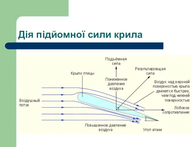 Дія підйомної сили крила