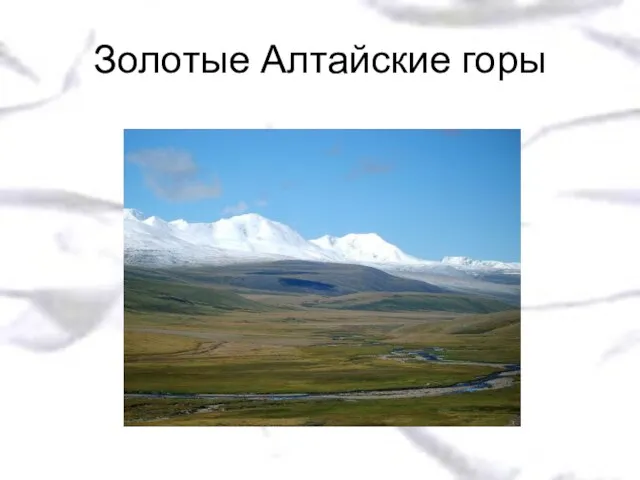 Золотые Алтайские горы