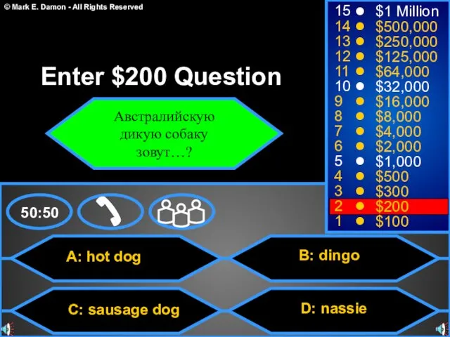 A: hot dog C: sausage dog B: dingo D: nassie 50:50