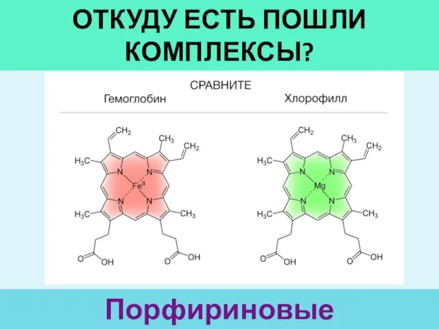 ОТКУДУ ЕСТЬ ПОШЛИ КОМПЛЕКСЫ? Порфириновые производные