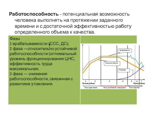 Работоспособность - потенциальная возможность человека выполнять на протяжении заданного времени и