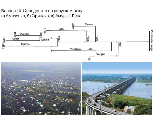 Вопрос 10. Определите по рисункам реку. а) Амазонка, б) Ориноко, в) Амур, г) Лена