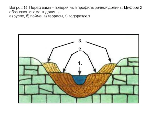 Вопрос 19. Перед вами – поперечный профиль речной долины. Цифрой 2