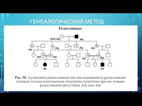 ГЕНЕАЛОГИЧЕСКИЙ МЕТОД