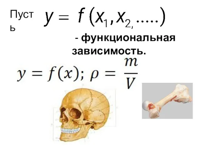 - функциональная зависимость. Пусть