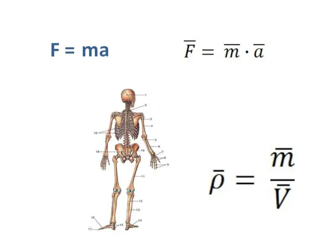 F = ma