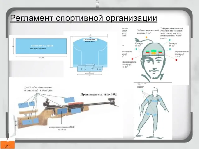 Регламент спортивной организации