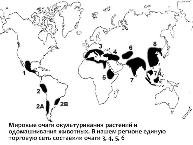 Мировые очаги окультуривания растений и одомашнивания животных. В нашем регионе единую