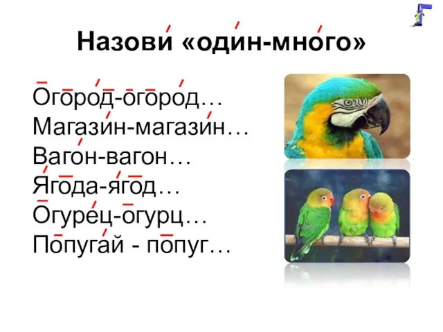 Назови «один-много» Огород-огород… Магазин-магазин… Вагон-вагон… Ягода-ягод… Огурец-огурц… Попугай - попуг…