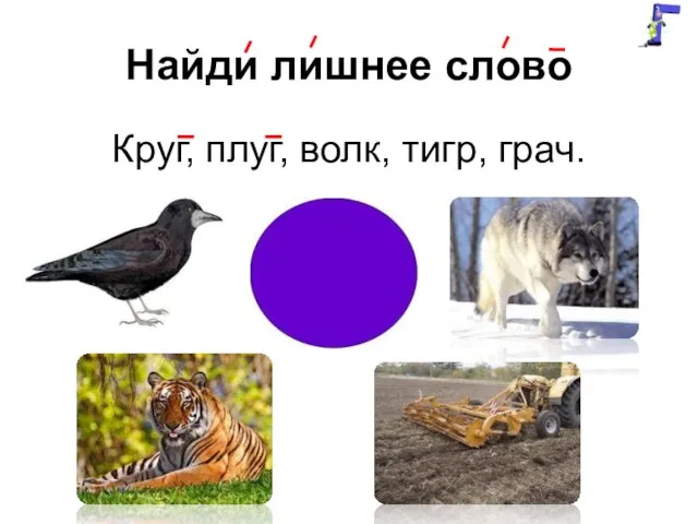 Найди лишнее слово Круг, плуг, волк, тигр, грач.