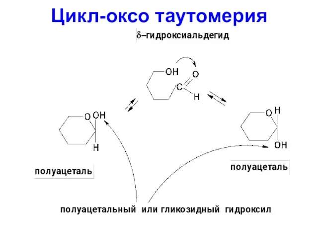 Цикл-оксо таутомерия