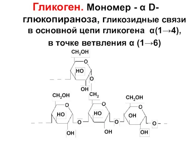 Гликоген. Мономер - α D-глюкопираноза, гликозидные связи в основной цепи гликогена