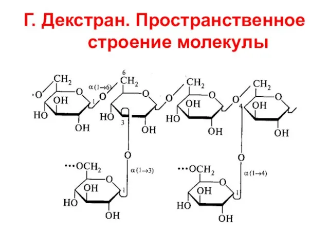 Г. Декстран. Пространственное строение молекулы