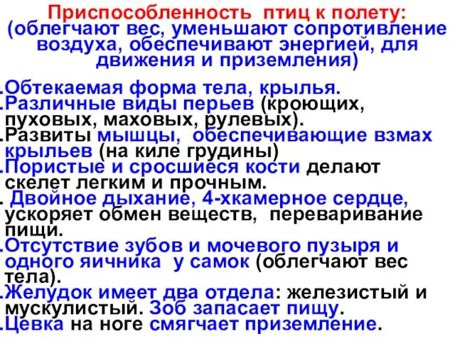 Приспособленность птиц к полету: (облегчают вес, уменьшают сопротивление воздуха, обеспечивают энергией,