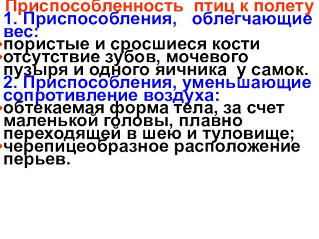 Приспособленность птиц к полету 1. Приспособления, облегчающие вес: пористые и сросшиеся