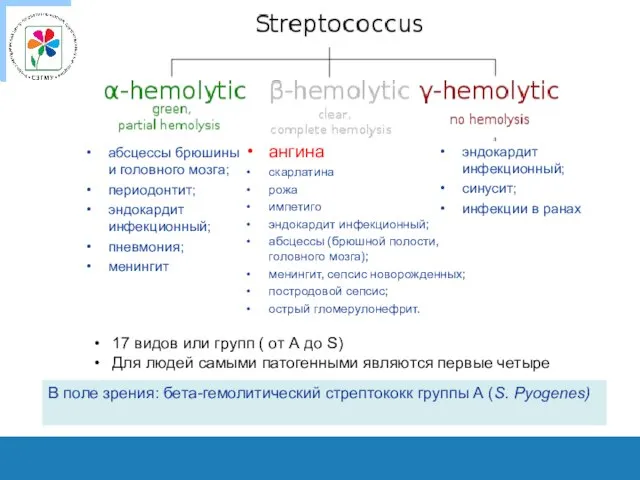 абсцессы брюшины и головного мозга; периодонтит; эндокардит инфекционный; пневмония; менингит ангина