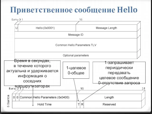 Приветственное сообщение Hello 1-запрашивает периодически передавать целевое сообщение 0-отсутствие запроса