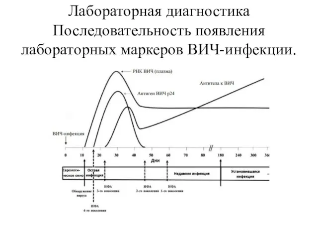 Лабораторная диагностика Последовательность появления лабораторных маркеров ВИЧ-инфекции.