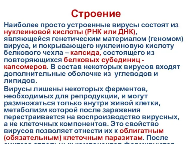 Строение Наиболее просто устроенные вирусы состоят из нуклеиновой кислоты (РНК или