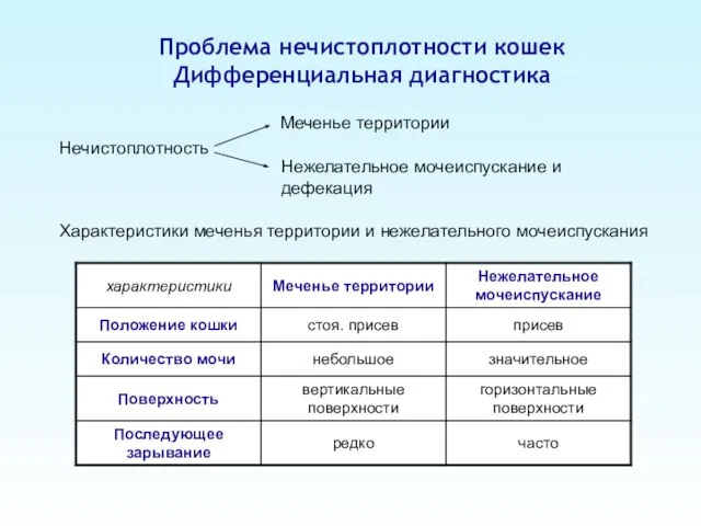 Проблема нечистоплотности кошек Дифференциальная диагностика Нечистоплотность Меченье территории Нежелательное мочеиспускание и