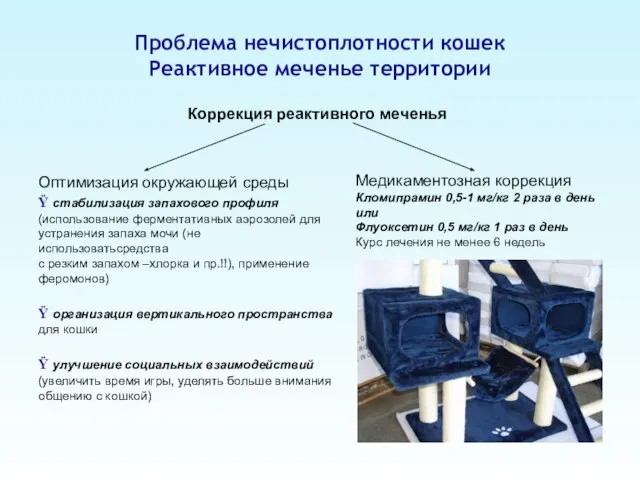 Проблема нечистоплотности кошек Реактивное меченье территории Коррекция реактивного меченья Оптимизация окружающей