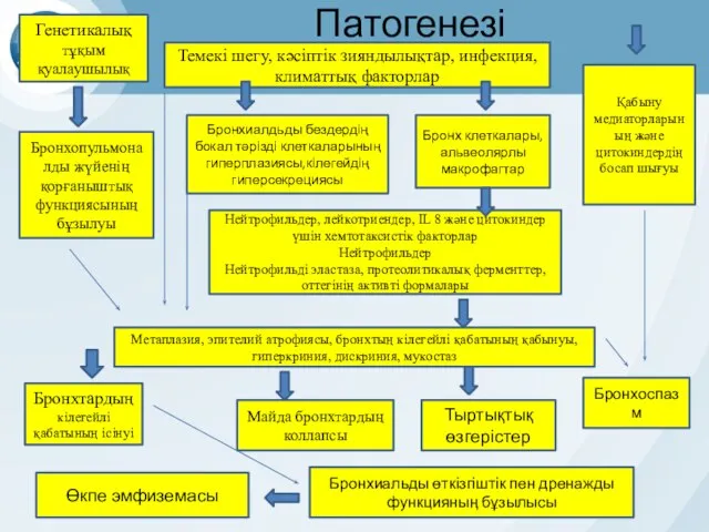 Патогенезі Темекі шегу, кәсіптік зияндылықтар, инфекция, климаттық факторлар Генетикалық тұқым қуалаушылық