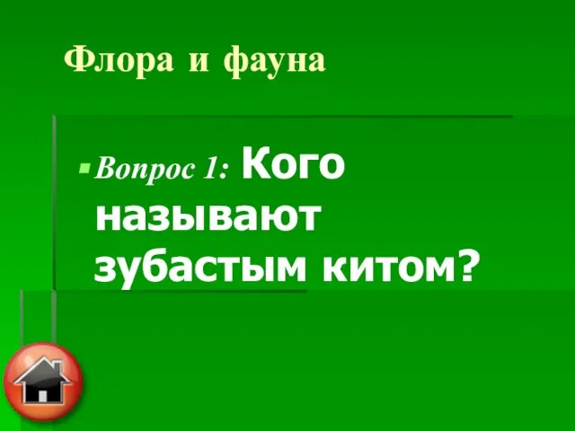 Флора и фауна Вопрос 1: Кого называют зубастым китом?