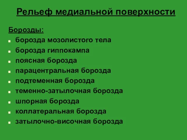 Рельеф медиальной поверхности Борозды: борозда мозолистого тела борозда гиппокампа поясная борозда