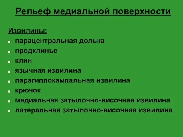 Рельеф медиальной поверхности Извилины: парацентральная долька предклинье клин язычная извилина парагиппокампальная