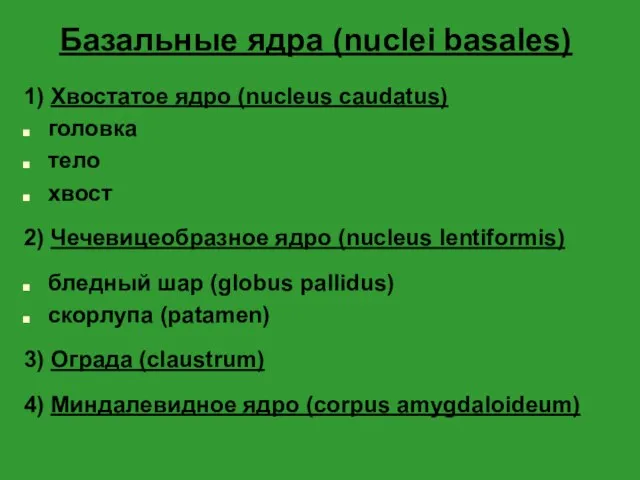 Базальные ядра (nuclei basales) 1) Хвостатое ядро (nucleus caudatus) головка тело