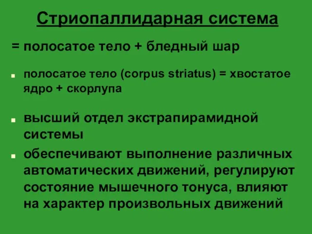 Стриопаллидарная система = полосатое тело + бледный шар полосатое тело (corpus