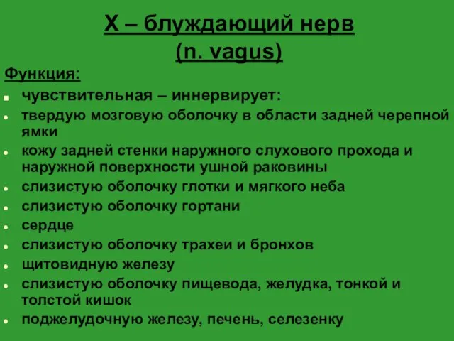 X – блуждающий нерв (n. vagus) Функция: чувствительная – иннервирует: твердую