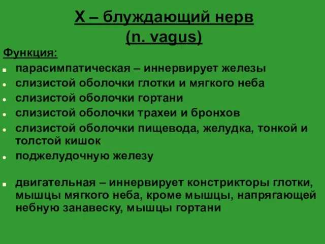 X – блуждающий нерв (n. vagus) Функция: парасимпатическая – иннервирует железы