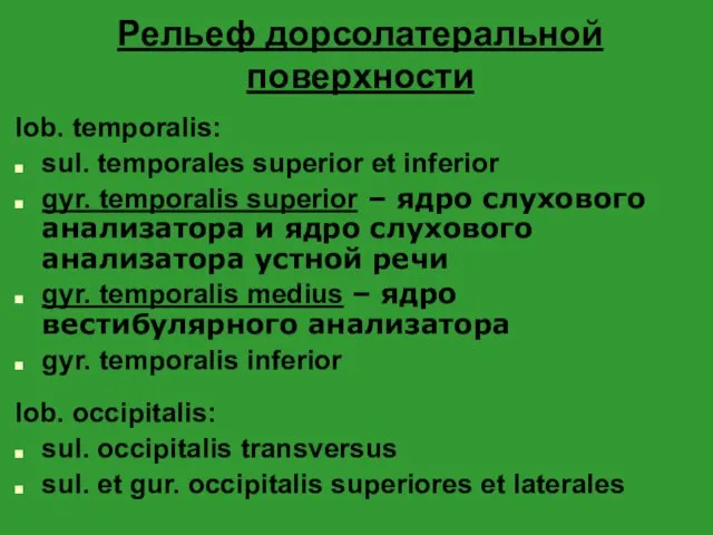 Рельеф дорсолатеральной поверхности lob. temporalis: sul. temporales superior et inferior gyr.