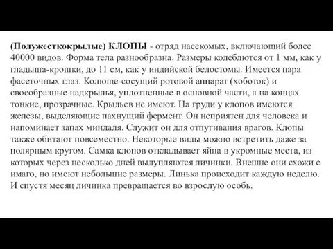 (Полужесткокрылые) КЛОПЫ - отряд насекомых, включающий более 40000 видов. Форма тела