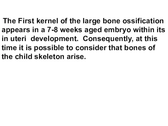 The First kernel of the large bone ossification appears in a