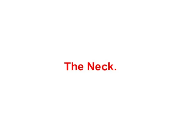 The Neck.