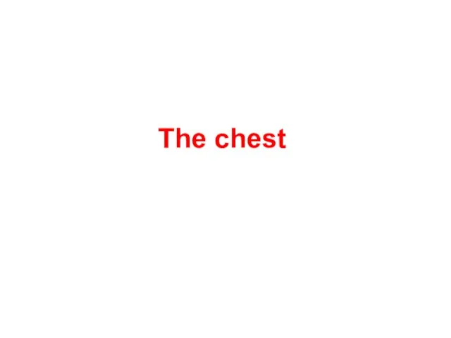 The chest