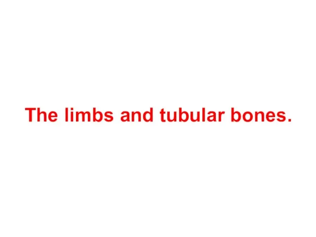 The limbs and tubular bones.