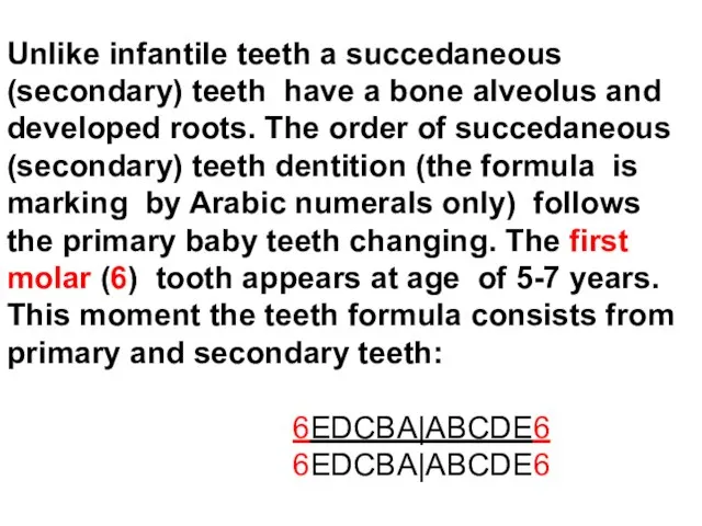 Unlike infantile teeth a succedaneous (secondary) teeth have a bone alveolus