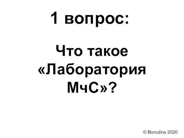 1 вопрос: Что такое «Лаборатория МчС»? © Borodina 2020