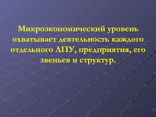 Микроэкономический уровень охватывает деятельность каждого отдельного ЛПУ, предприятия, его звеньев и структур.