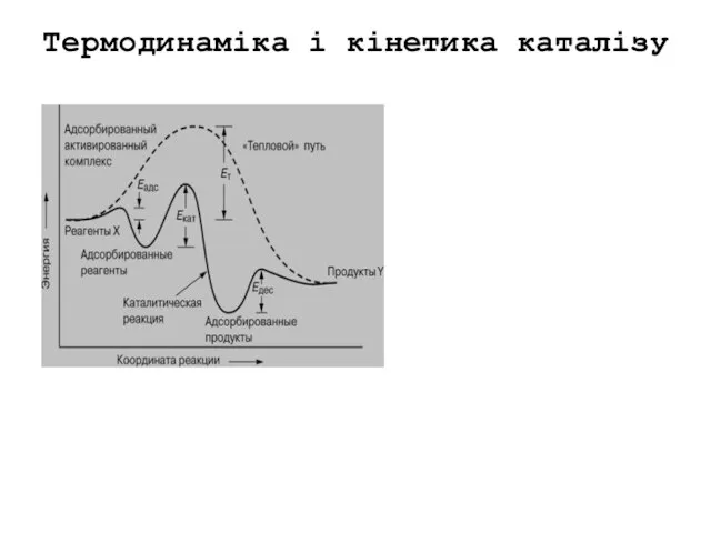 Термодинаміка і кінетика каталізу