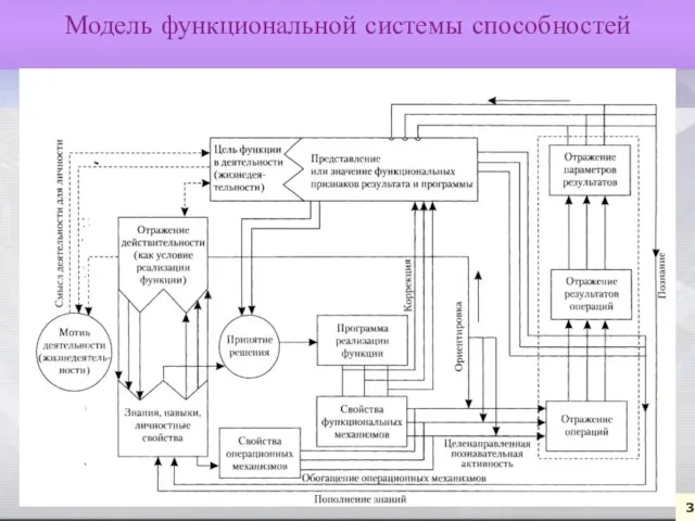 38 38 Модель функциональной системы способностей